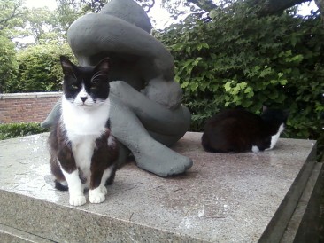 Cats at Nagasaki’s Peace Park